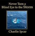 Cover of Never Turn a Blind Eye to the Storm