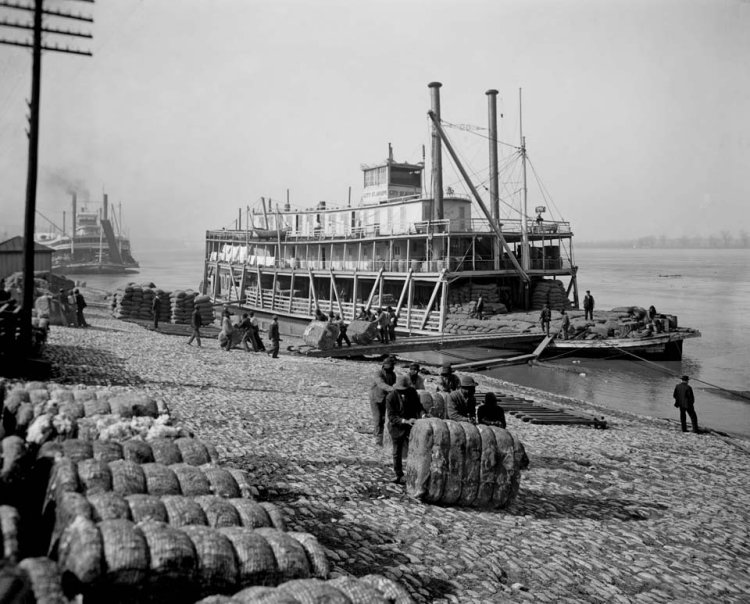 Roustabouts rolling bales of cotton ashore at Memphis, Tennessee, circa 1905, from Detroit Publishing Co., via Library of Congress.