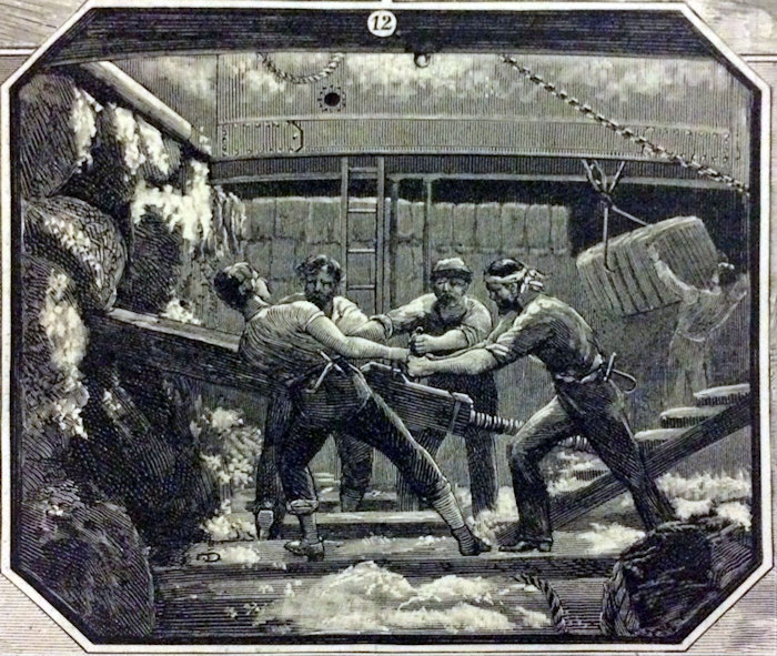Screwing cotton bales in the hold of a ship, drawn by J. O. Davidson, Harper's Weekly, July 14, 1883, p. 440.